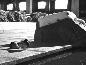 “Marabar” Is Headed to American University