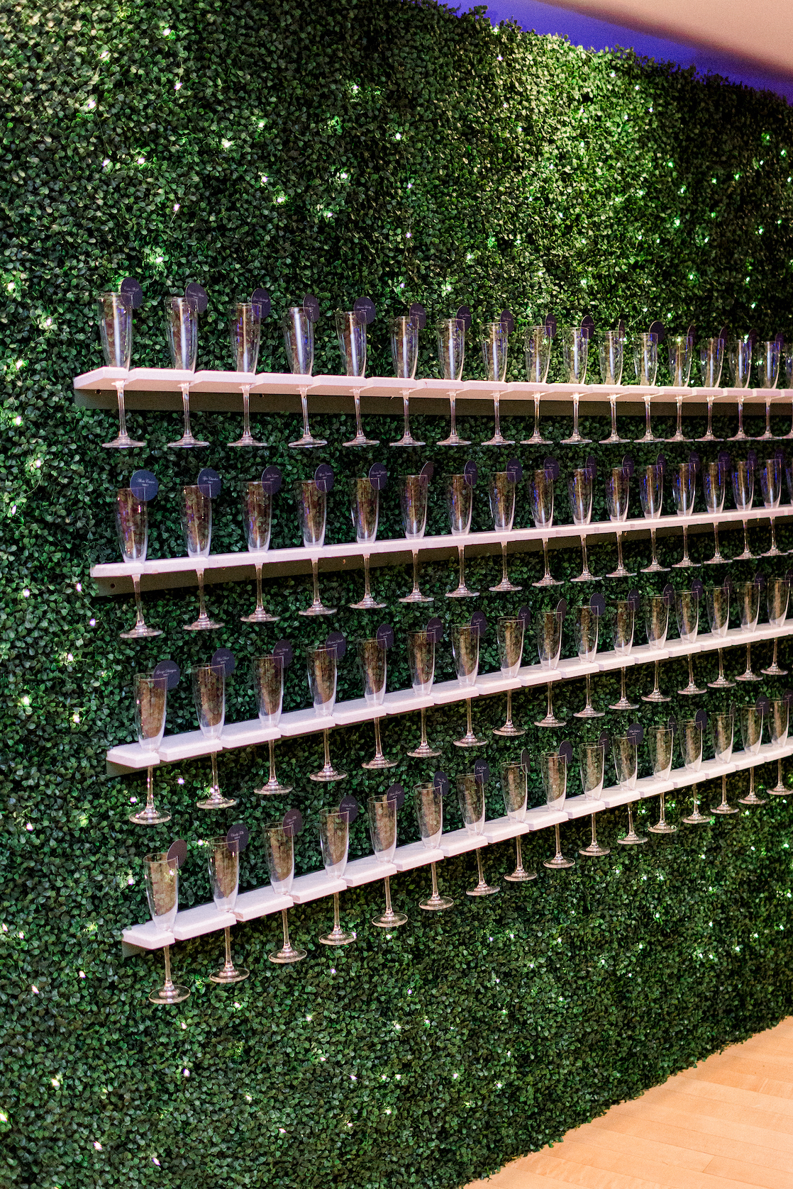 untitled(1116of2331) untitled(1116of2331)