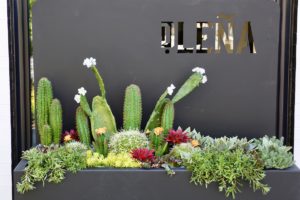 Richard Sandoval Is Opening a Wood-Fired Mexican Restaurant/Mezcaleria in Mount Vernon Triangle