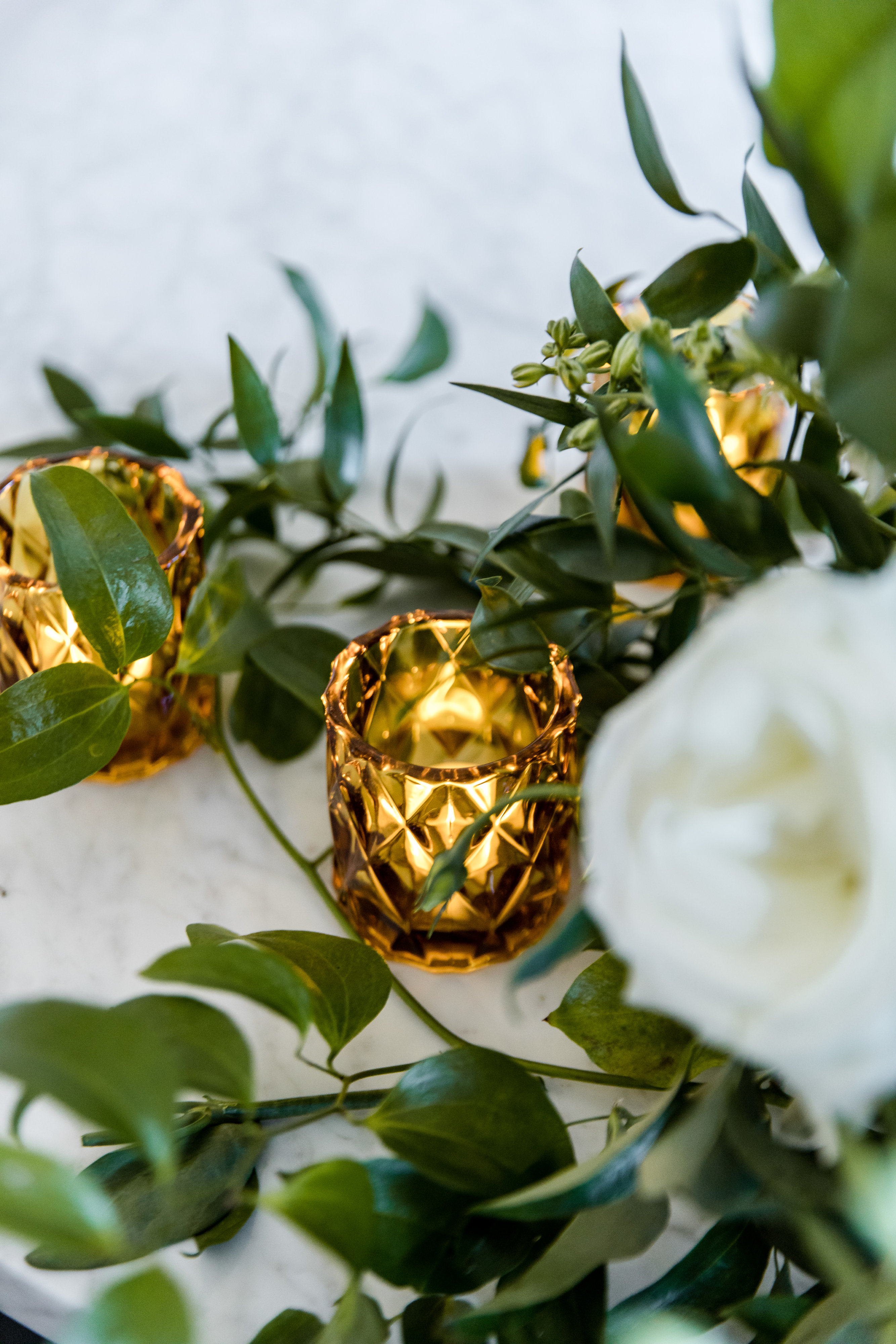 Roxanne + Brian Iris Mannings-158 Roxanne + Brian Iris Mannings-158