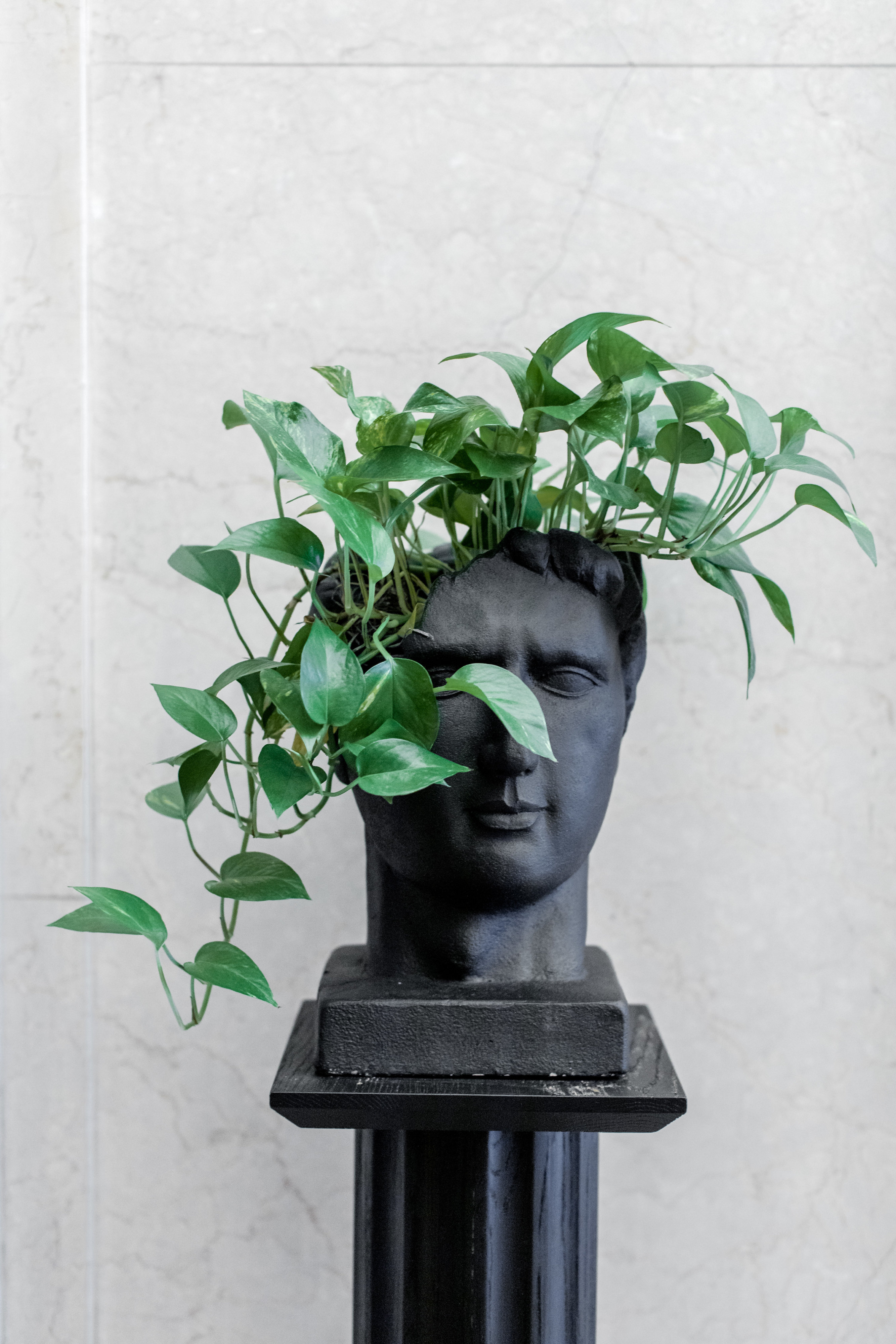 Roxanne + Brian Iris Mannings-356 Roxanne + Brian Iris Mannings-356