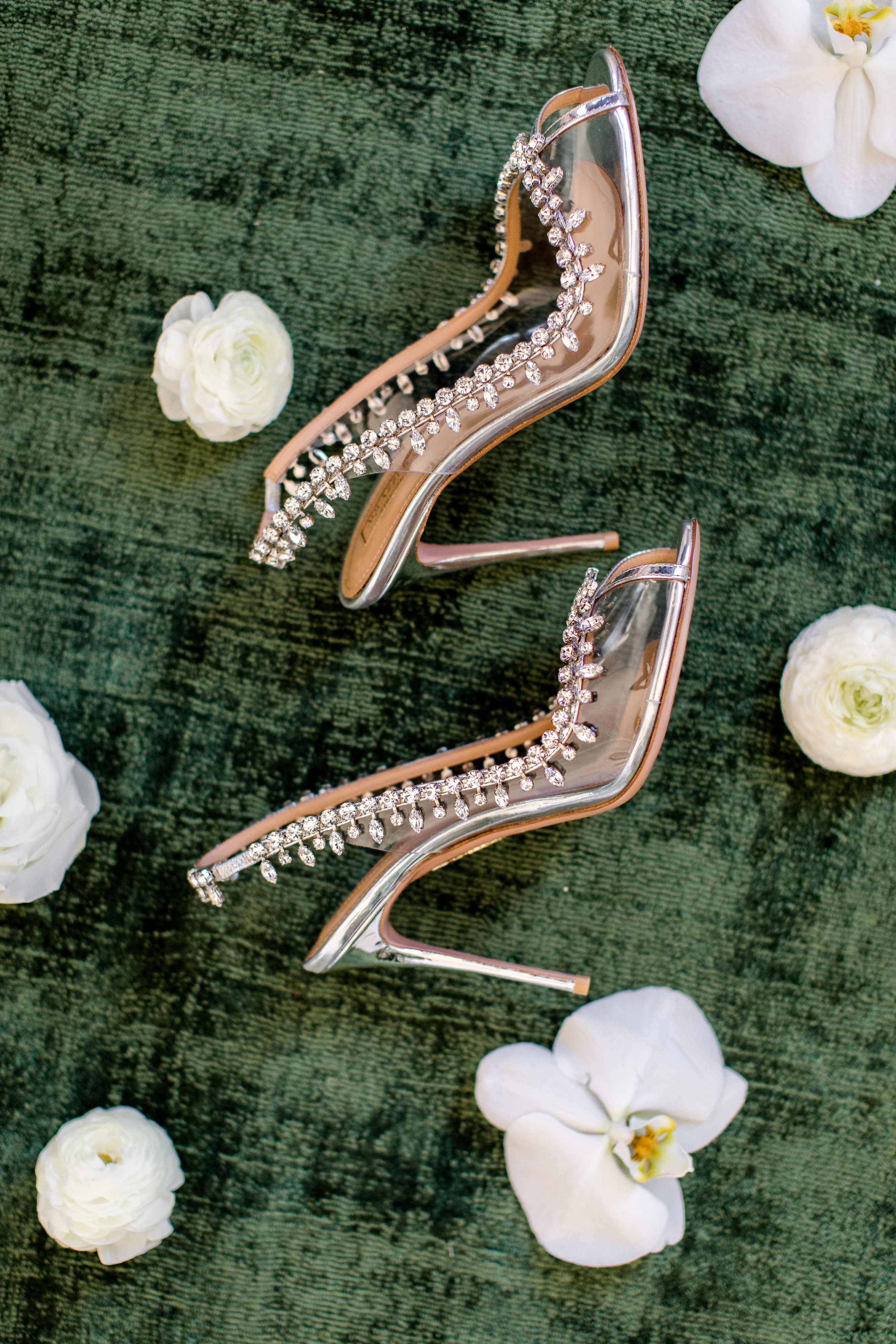 Roxanne + Brian Iris Mannings-369 Roxanne + Brian Iris Mannings-369