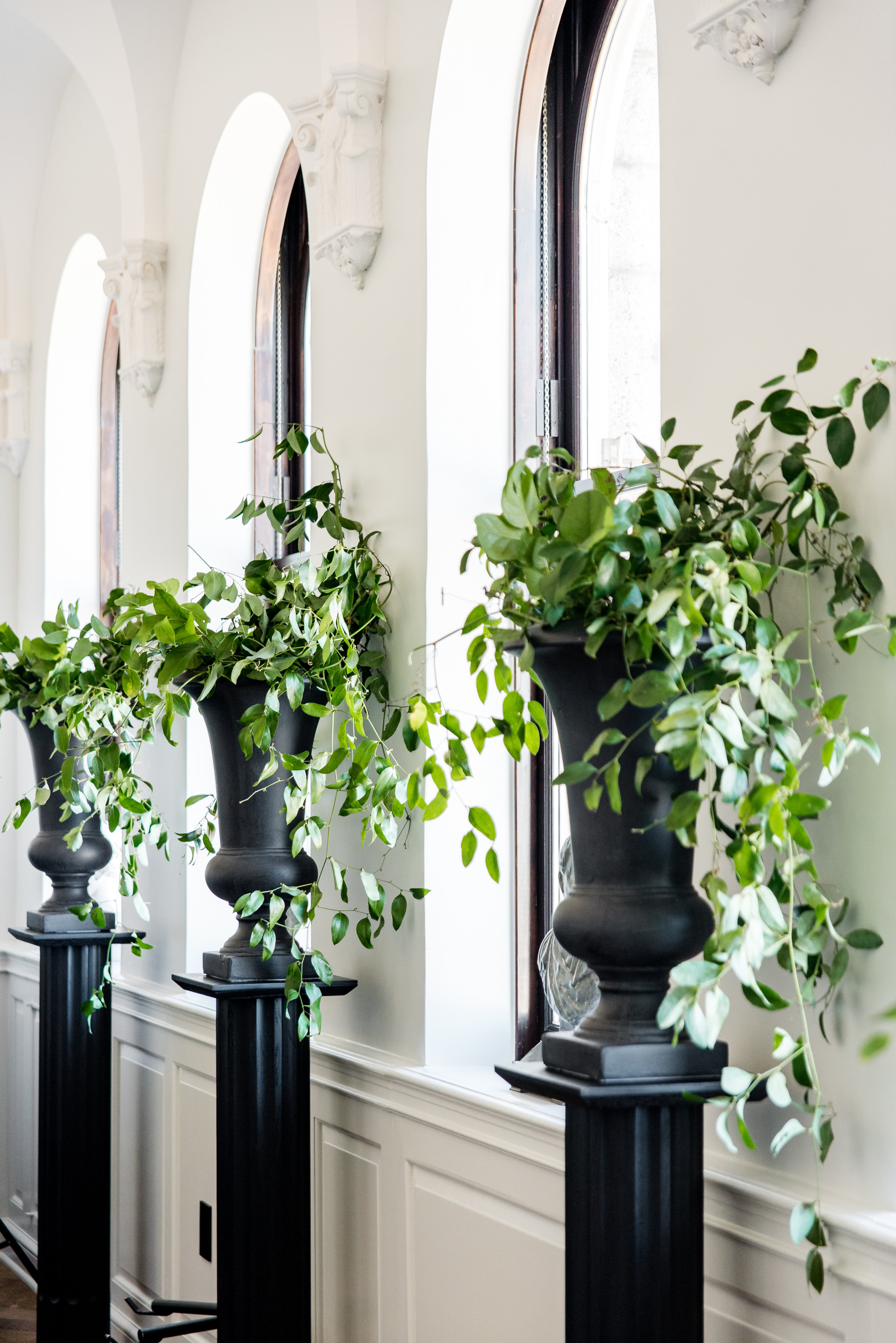 Roxanne + Brian Iris Mannings-80 Roxanne + Brian Iris Mannings-80