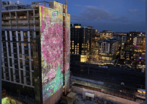 A Massive 3-D Cherry Blossom Projection Will Light Up Northeast DC Tonight and Tomorrow