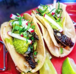 Now on the Menu at DC-Area Restaurants: Brood X Cicadas