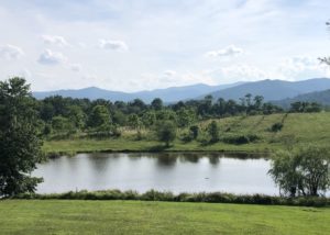 A Virginia Wine Country Inn and Restaurant Is Reopening with Pineapple & Pearls’ Ex-Head Chef