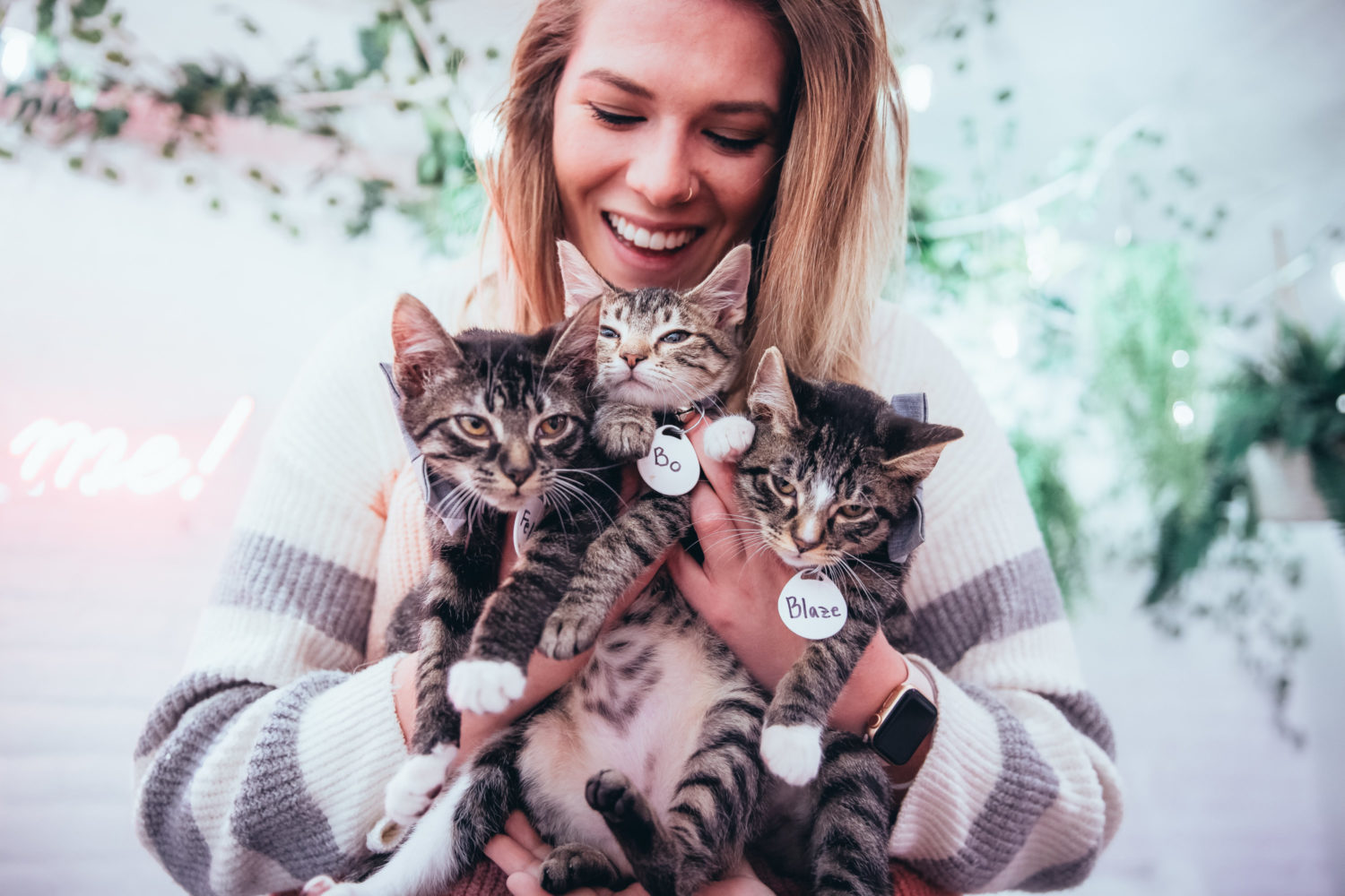 Bring your friends to hang out with cats at Crumbs & Whiskers in Georgetown. Photograph courtesy of Crumbs & Whiskers.