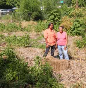 What It’s Like Inside a Hidden Old Cemetery That’s Threatened by the Beltway Expansion