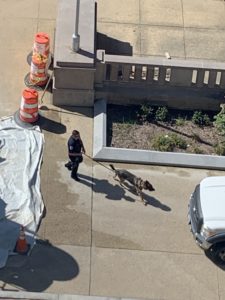 Capitol Bomb Threat Suspect Surrenders