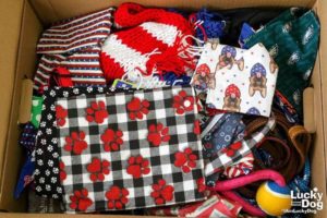 White House Donates Dog Toys, Clothes, and Other Gifts It Received to DC Charities