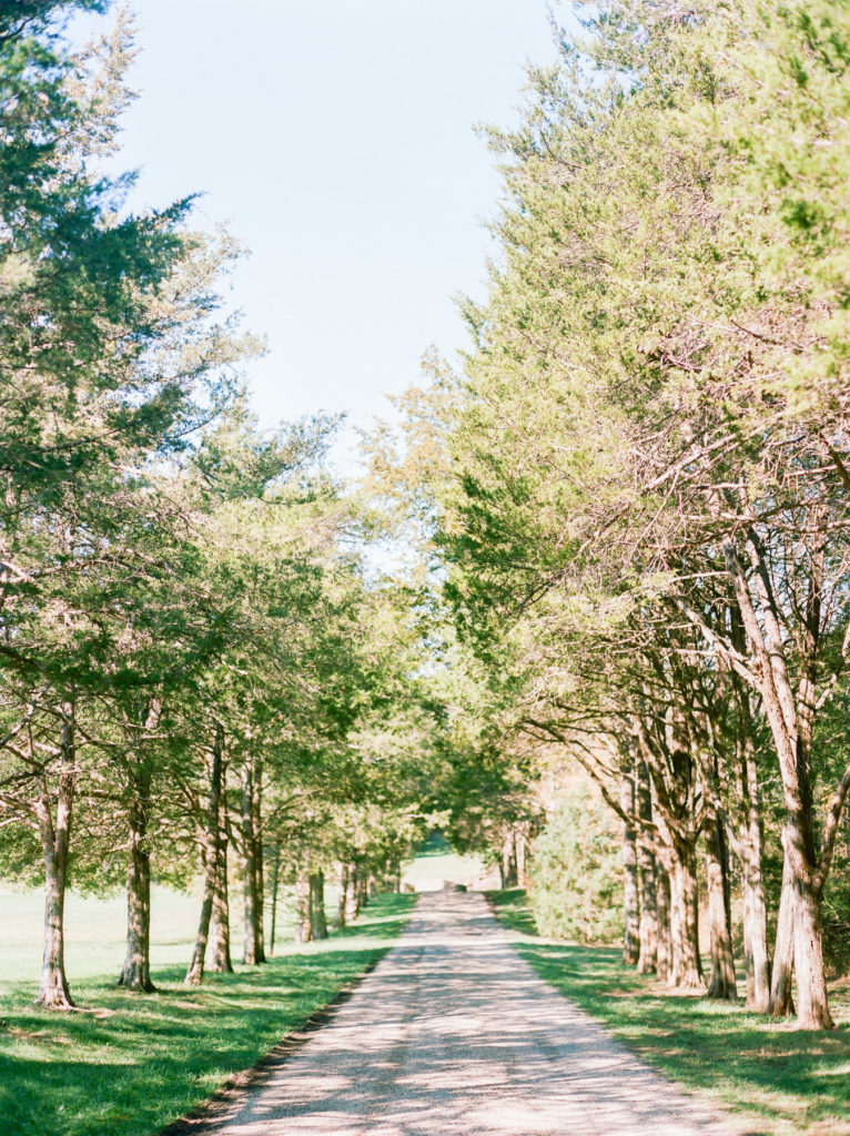 81Great_Marsh_Estate_Jillian_Justin_Wedding_AstridPhotography_AnneKelleyEvents146486120003-2