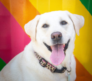 Best of Washington 2021: Great New Ways to Have Fun in DC