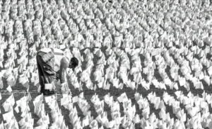 Hundreds of Thousands of Flags on the National Mall Will Commemorate American Lives Lost to Covid
