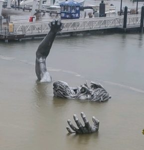 Photos: Washington Is Under Water