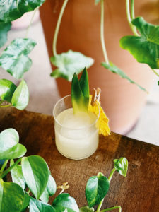 Your Sipping Guide to Latin Spirits Around DC