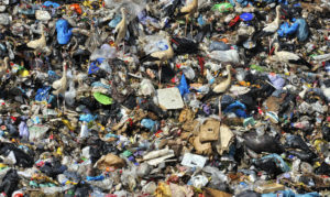 Photos: Award-Winning Wildlife Photography From a New Natural History Museum Exhibit