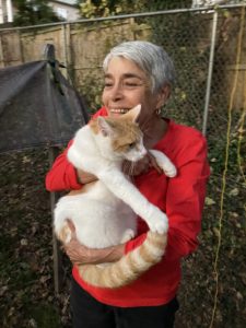 Hank, a DC Cat, Was Stuck in a Tree for Five Days. Here’s the Story of How He Came Down.