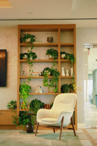 This DC Business Helps People Figure Out Where to Put Houseplants