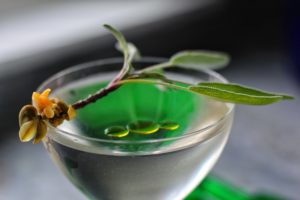Gina Chersevani Launches Creative Cocktail Series Following Food Network Win