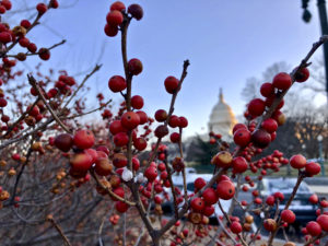 The Last Month of 2021 Is Here