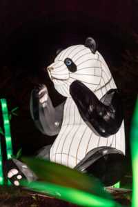 Go See the Chinese Lanterns at the Reach for a Winter Pick-Me-Up