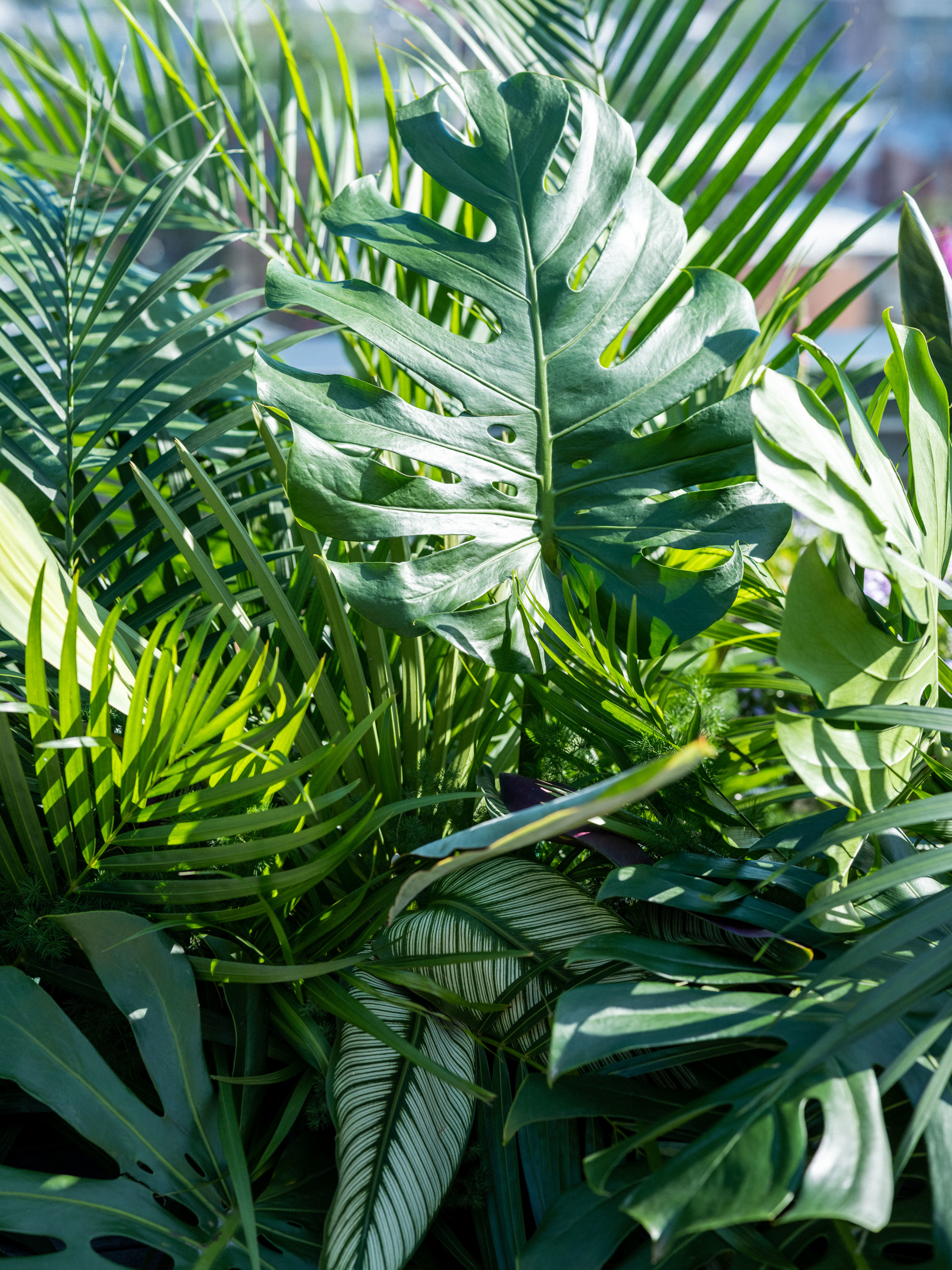 E&ASubmission-7 E&ASubmission-7