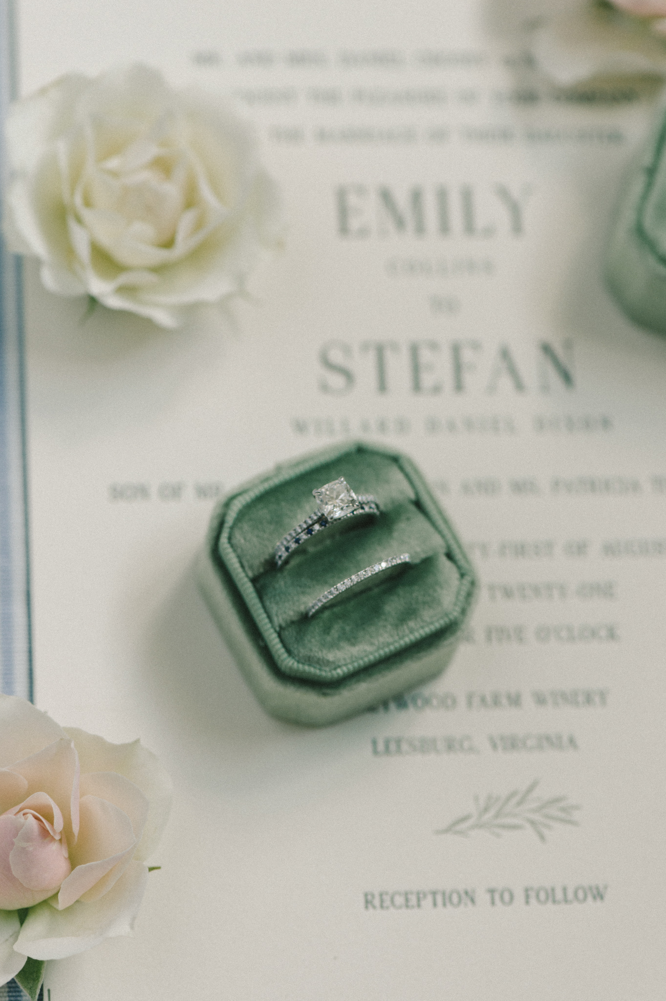 LizFogarty-12 LizFogarty-12