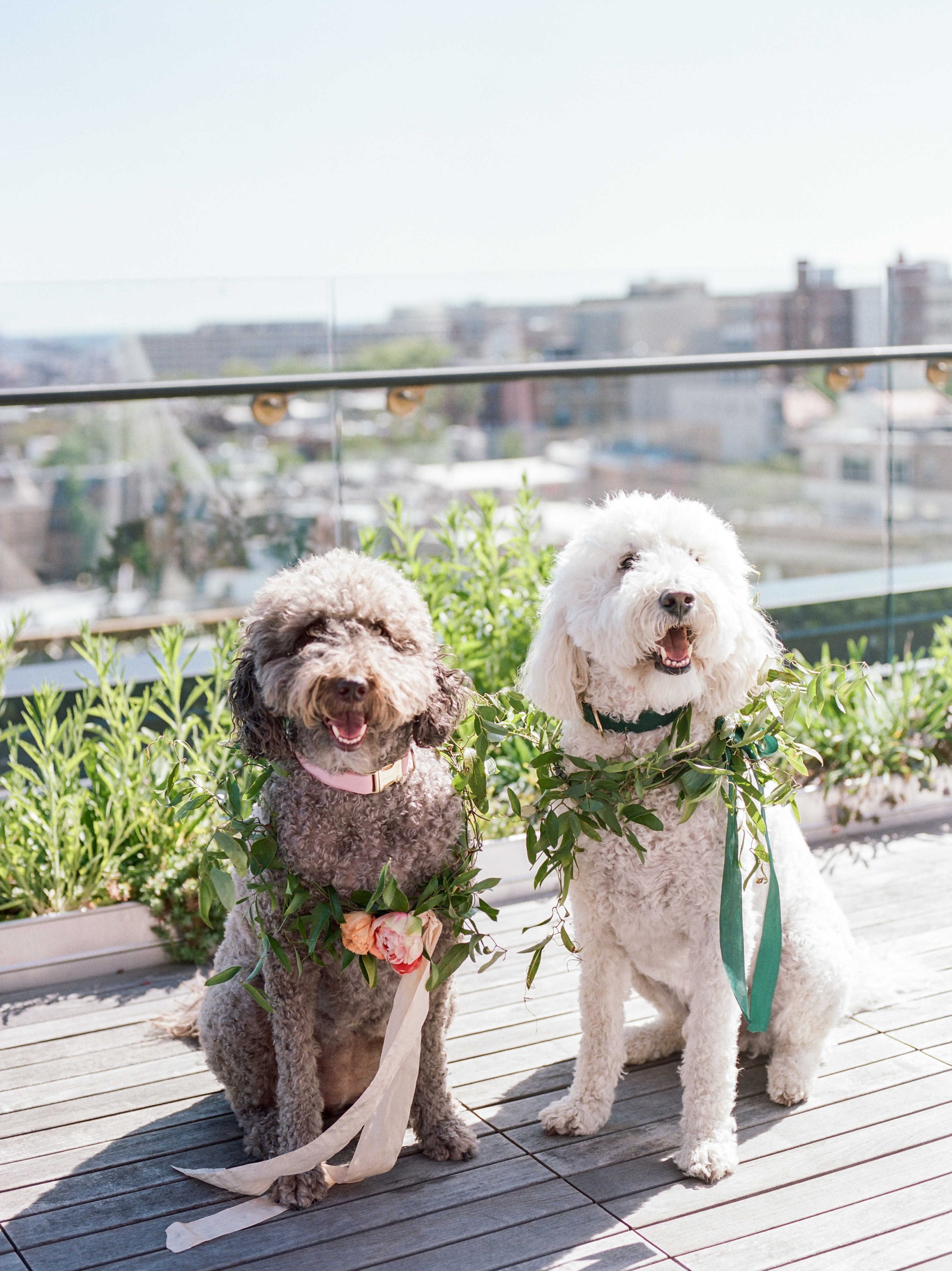 E&ASubmission-33 E&ASubmission-33