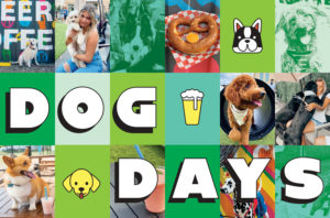 Dog Bars Are Booming in Washington­—and More Are on the Way