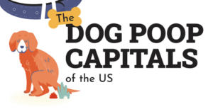 Is DC Among the Most Dog Poo-luted Cities? This Survey Seems to Think So.