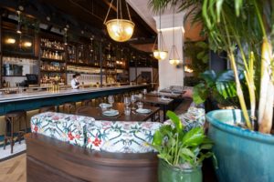 Michelin Announces 4 New Bib Gourmand Winners in DC