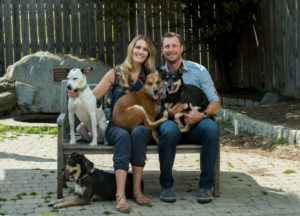 Max Scherzer and Erica Scherzer Will Cover Adoption Costs for Your Big Dog