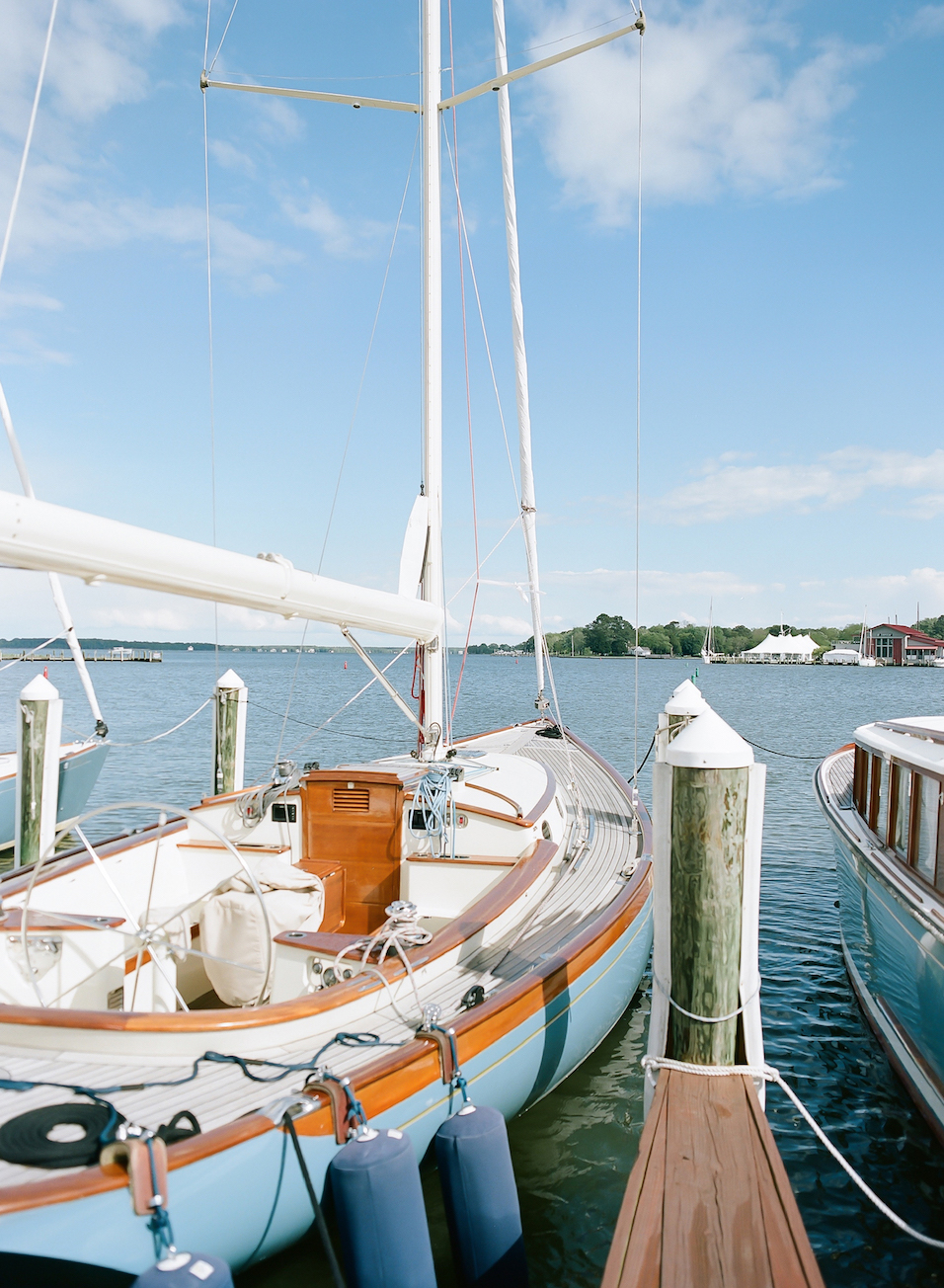 Vicki_Grafton_Photography_Wedding-389 Vicki_Grafton_Photography_Wedding-389