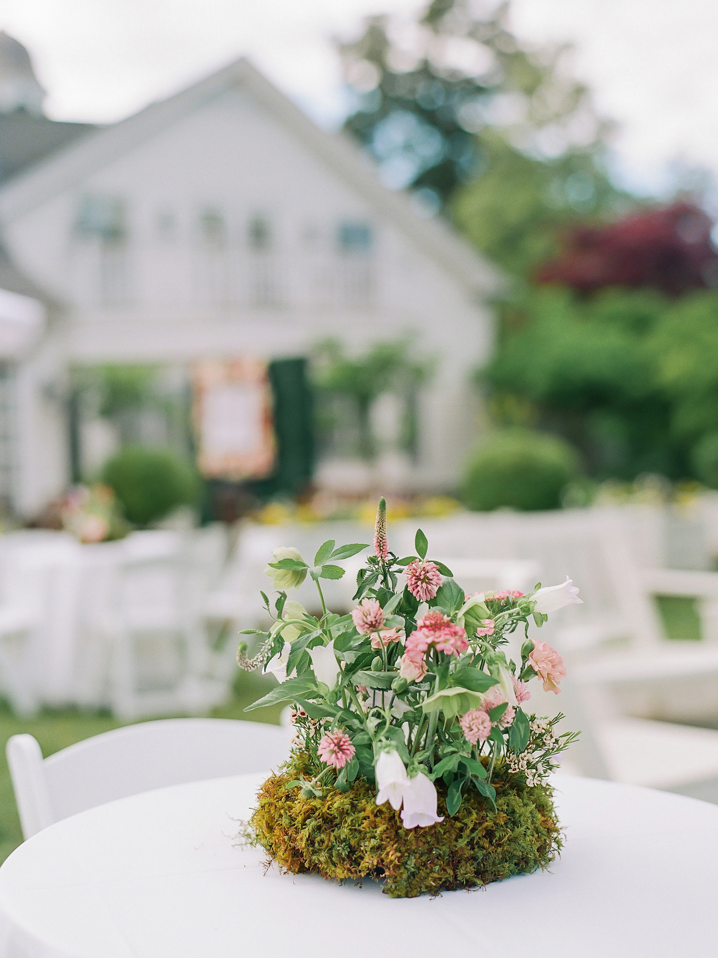 Vicki_Grafton_Photography_Wedding-592 Vicki_Grafton_Photography_Wedding-592