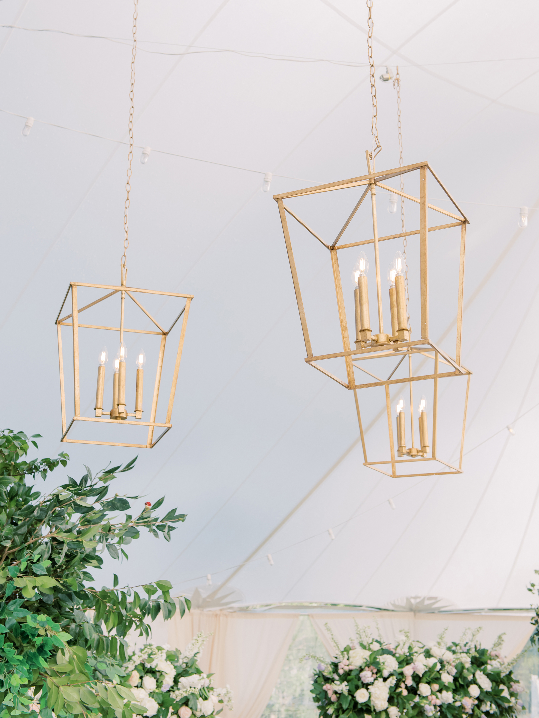 Vicki_Grafton_Photography_Wedding-752 Vicki_Grafton_Photography_Wedding-752