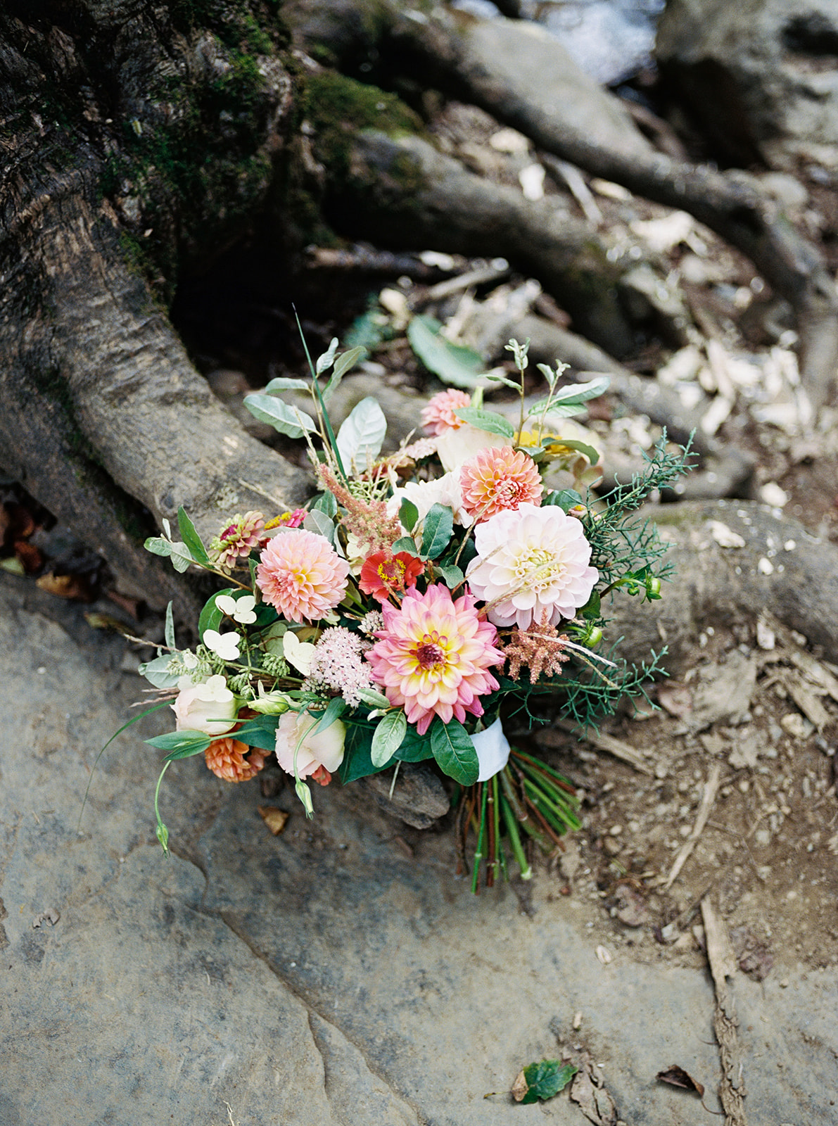 Caitlin & Philip Caitlin & Philip