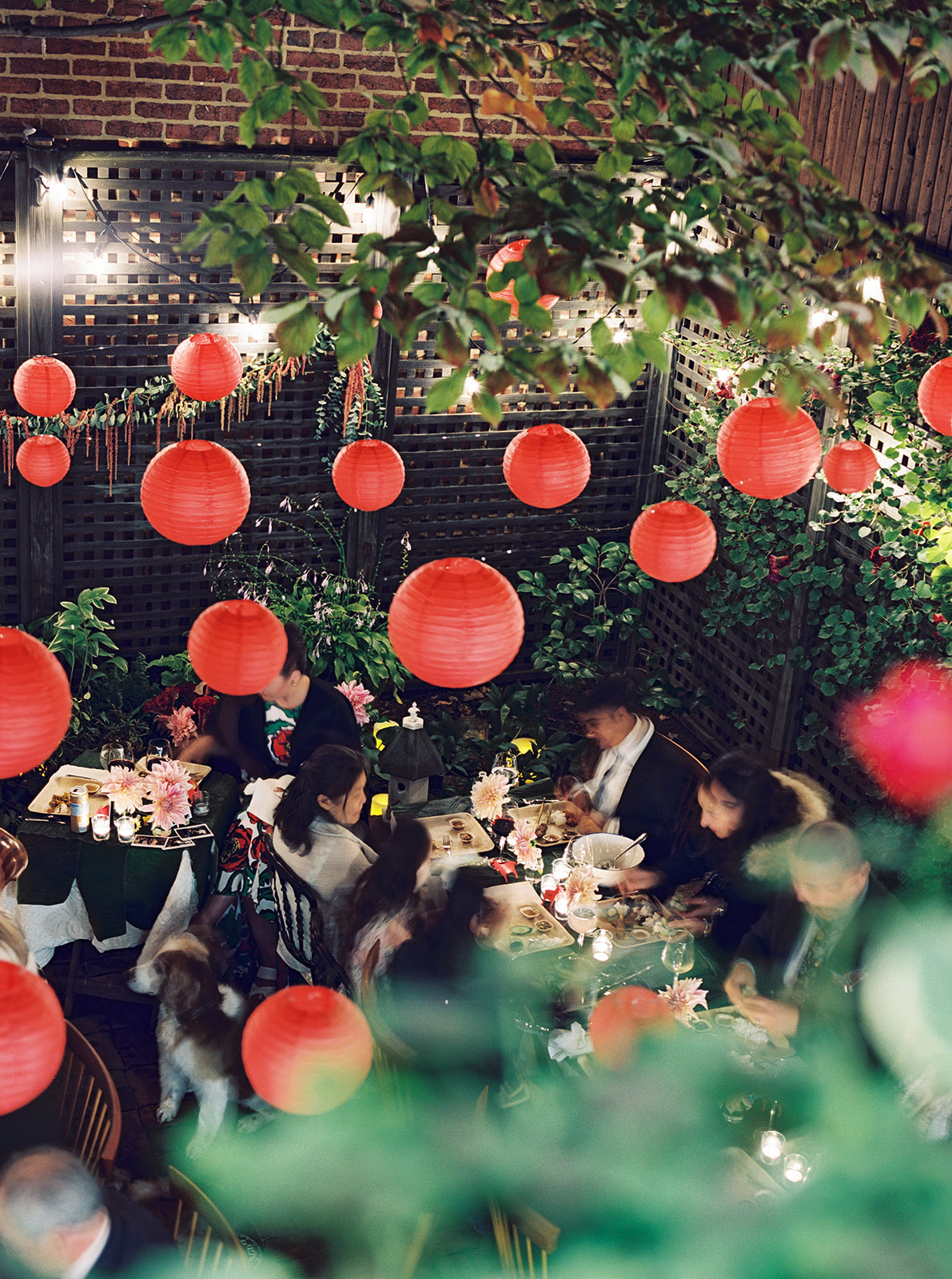 Caitlin & Philip Caitlin & Philip