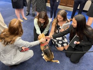 Photos: 6 Adorable Rescued Beagles Played “Lobbyist” Today on Capitol Hill