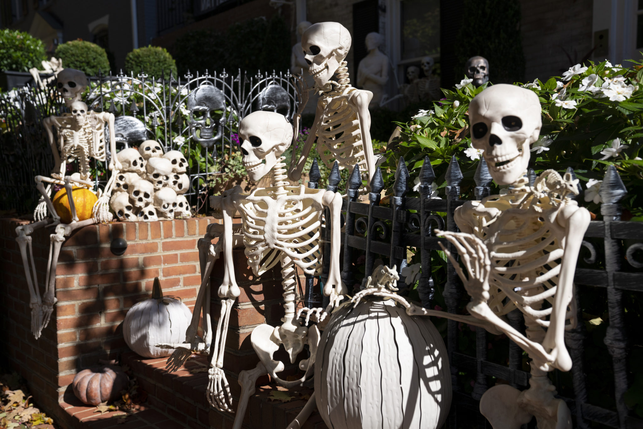 Halloween Decorations in Georgetown Are to Die For