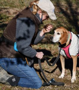 Meet the Virginia Truffle Farmers Bringing the Luxe Ingredient to Local Restaurants