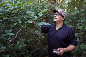 Bar Ivy Chef and Forager Jonathan Till Scours Virginia Forests for Ingredients