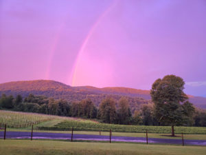 More Than Wine: 9 Unique Winery Experiences Around DC