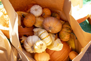 Here’s How to Sustainably Dispose of Pumpkins Around DC