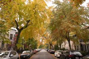 Take a Look at the Colorful Fall Foliage Around DC