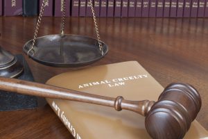 This GW Law Program Aims to Strengthen Animal Rights