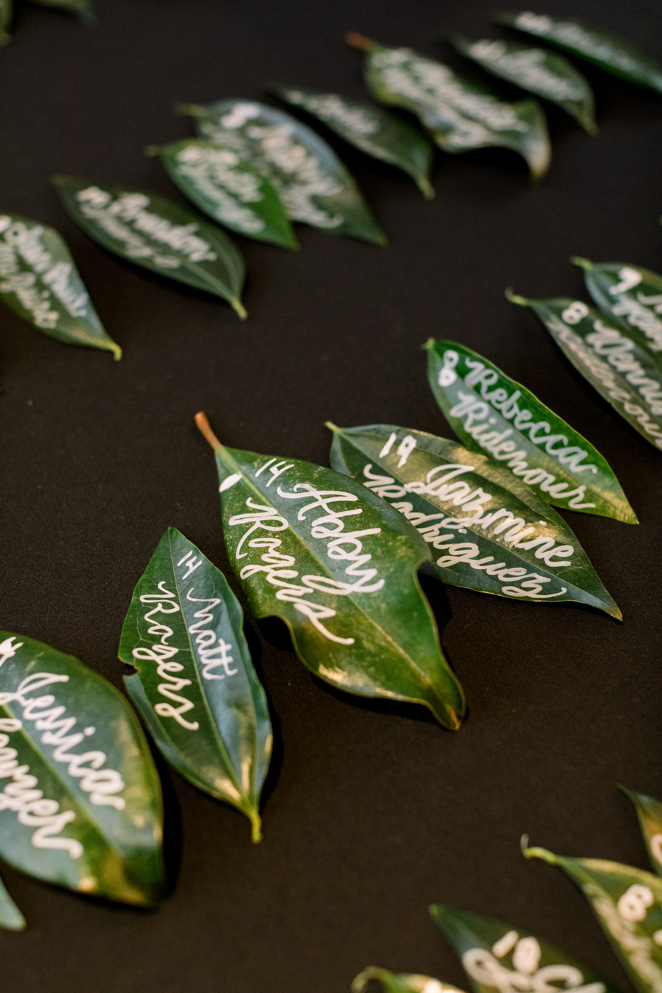 IMG_M_J_WED_D-71 IMG_M_J_WED_D-71