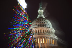 Where to See Beautiful, Towering Christmas Trees Around DC
