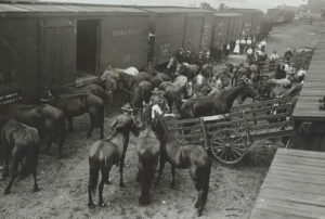 Weird History: An Anthrax Lab in Chevy Chase DC