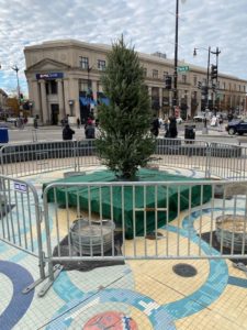 All Hail Tiny Timber, the Short King of Christmas in DC