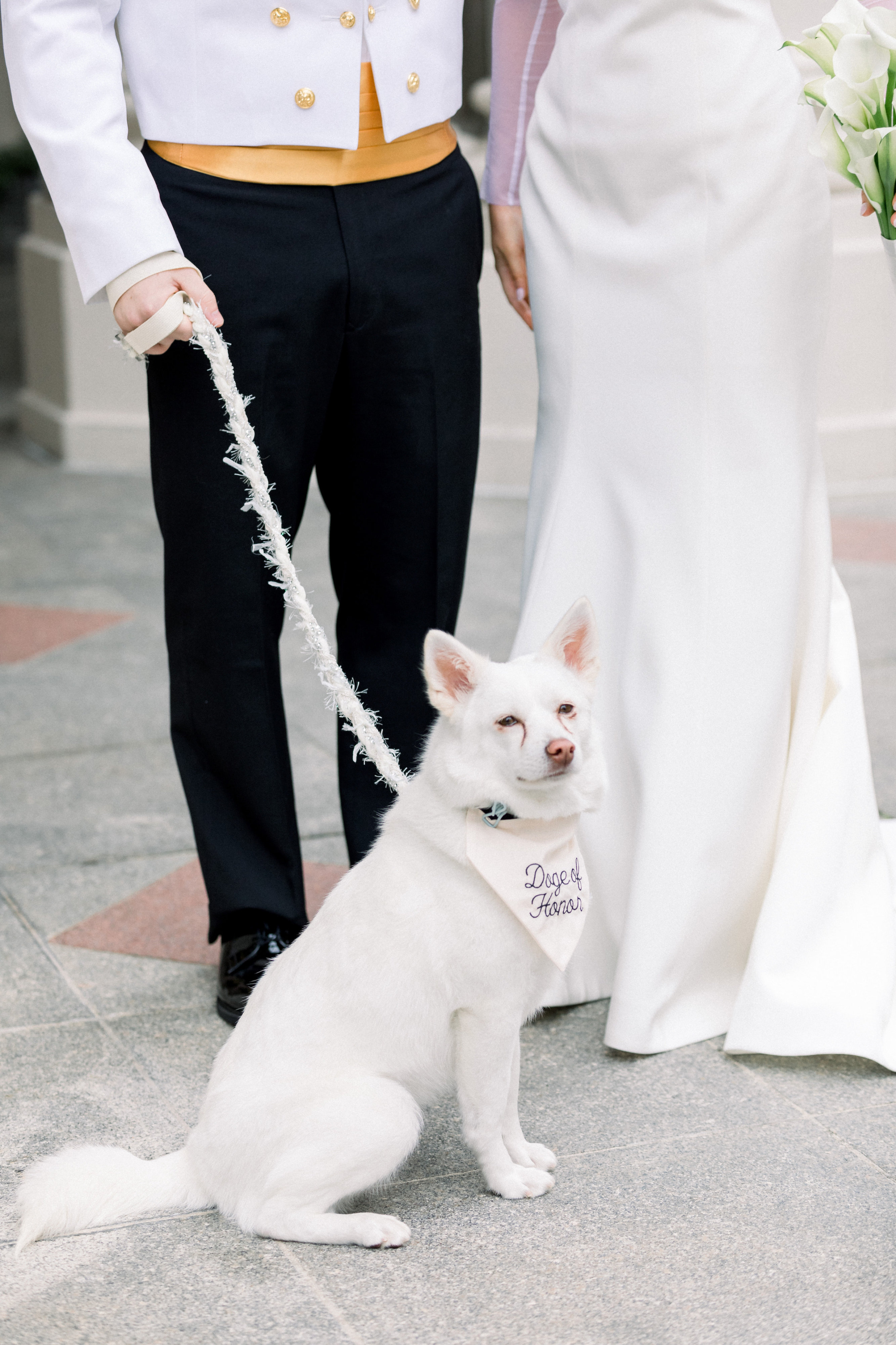 H&S Classic DC Christmas Wedding